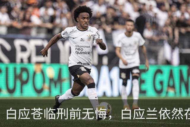 白应苍临刑前无悔，白应兰依然在逃引发猜测