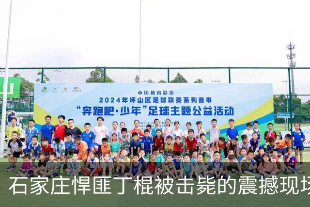 石家庄悍匪丁棍被击毙的震撼现场及其悲剧人生
