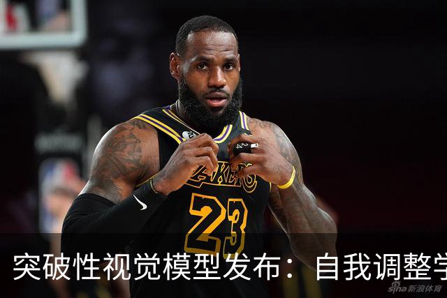 突破性视觉模型发布：自我调整学习规则的创新骨干网络