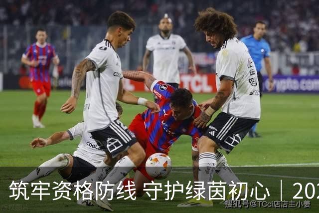 筑牢资格防线 守护绿茵初心｜2026潍坊（V超）开展资格审查