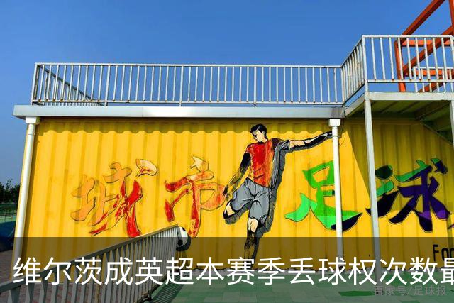 维尔茨成英超本赛季丢球权次数最多的球员