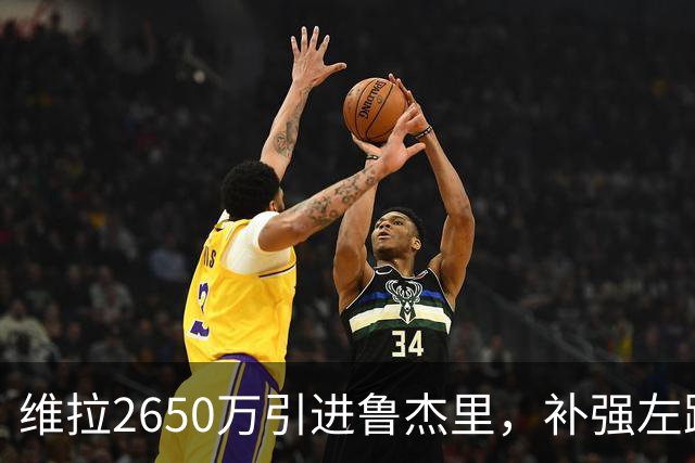 维拉2650万引进鲁杰里，补强左路防线