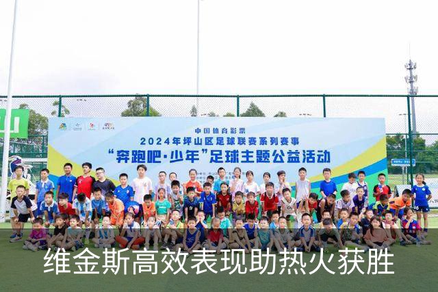 维金斯高效表现助热火获胜