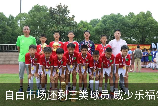 自由市场还剩三类球员 威少乐福领衔失业大军？