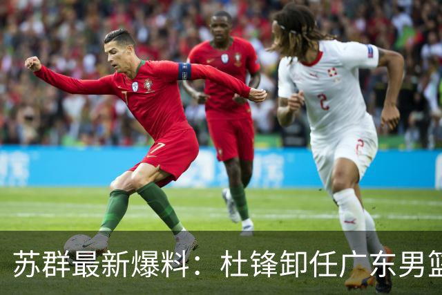 苏群最新爆料：杜锋卸任广东男篮主帅，俱乐部或将聘外教，焦泊乔有望留队