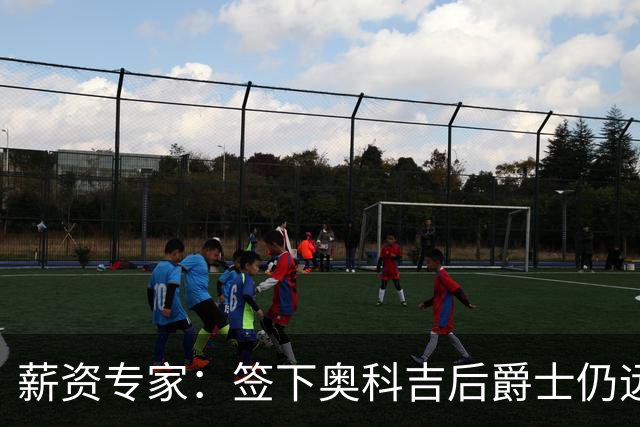 薪资专家：签下奥科吉后爵士仍远低于奢侈税线 可以接手其他合同