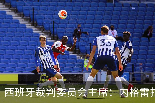西班牙裁判委员会主席：内格雷拉案玷污了裁判界的纯洁性