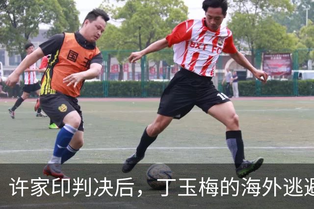 许家印判决后，丁玉梅的海外逃避计划彻底破灭
