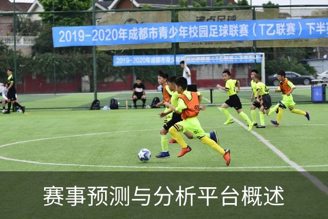 赛事预测与分析平台概述