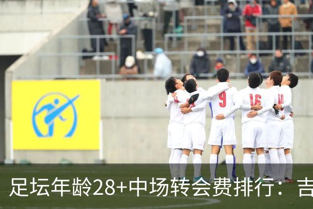 足坛年龄28+中场转会费排行：吉马良斯、齐达内前2，保利尼奥上榜