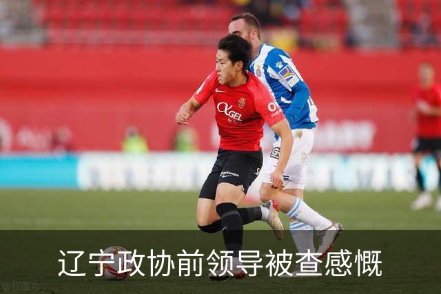 辽宁政协前领导被查感慨