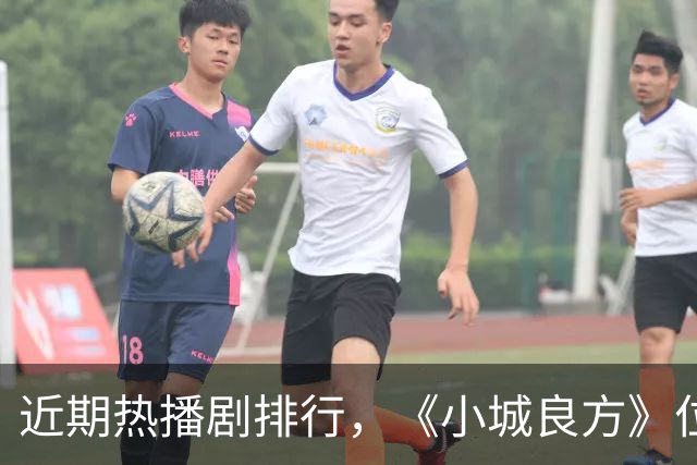 近期热播剧排行，《小城良方》位居榜首
