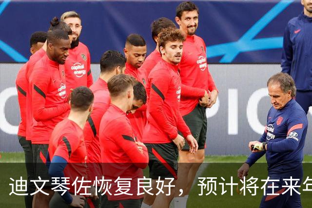 迪文琴佐恢复良好，预计将在来年初复出