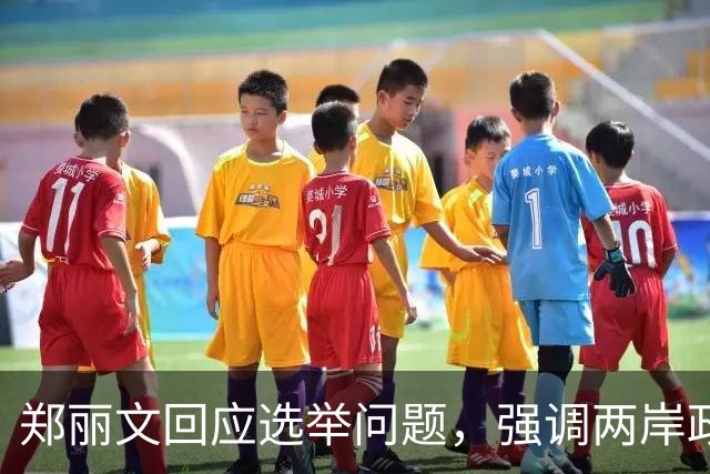 郑丽文回应选举问题，强调两岸政策的重要性