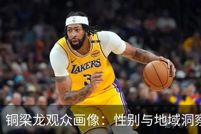 铜梁龙观众画像：性别与地域洞察