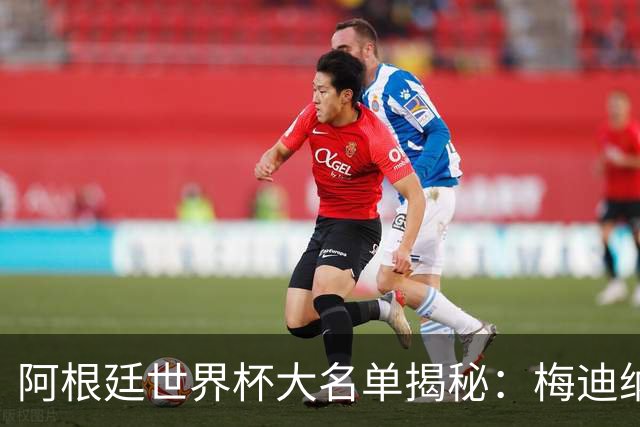 阿根廷世界杯大名单揭秘：梅迪纳与巴尔科的多面手属性成入选关键