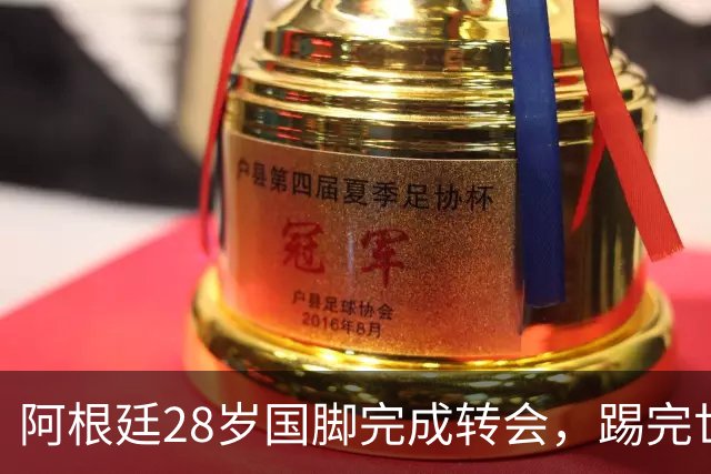 阿根廷28岁国脚完成转会，踢完世界杯就被卖了！离开西甲加盟意甲