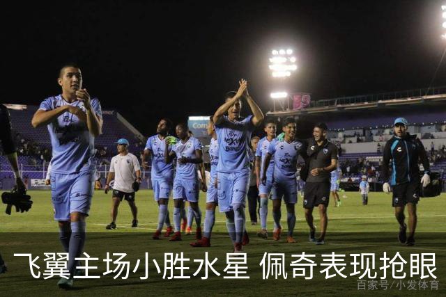 飞翼主场小胜水星 佩奇表现抢眼