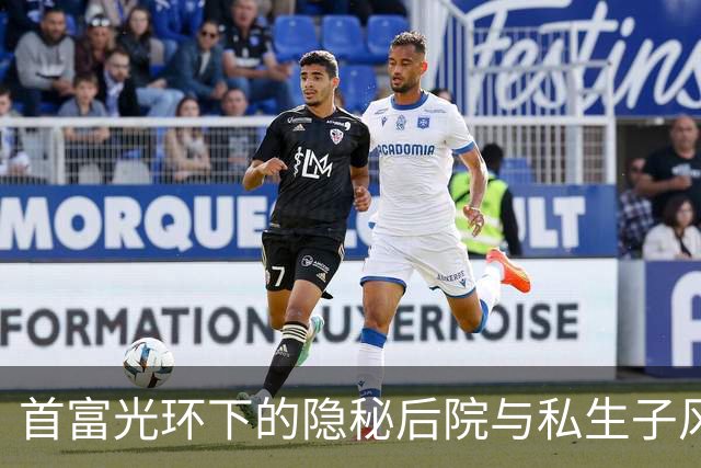 首富光环下的隐秘后院与私生子风波