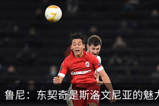 鲁尼：东契奇是斯洛文尼亚的魅力象征