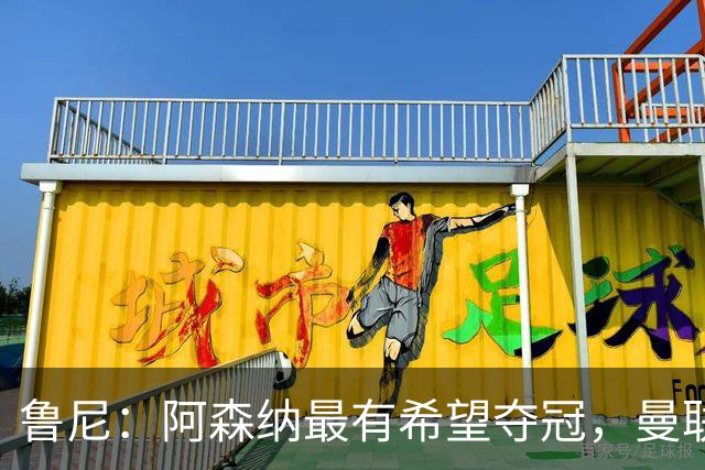 鲁尼：阿森纳最有希望夺冠，曼联以进四强为务实目标