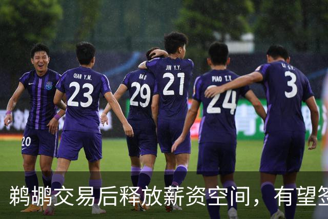 鹈鹕交易后释放薪资空间，有望签下马瑟林
