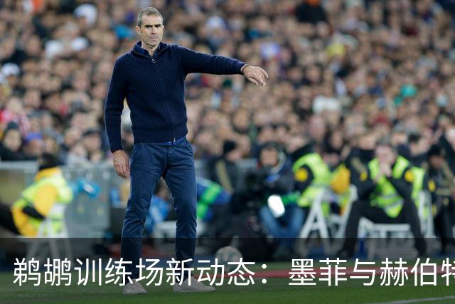 鹈鹕训练场新动态：墨菲与赫伯特-琼斯齐聚新教练