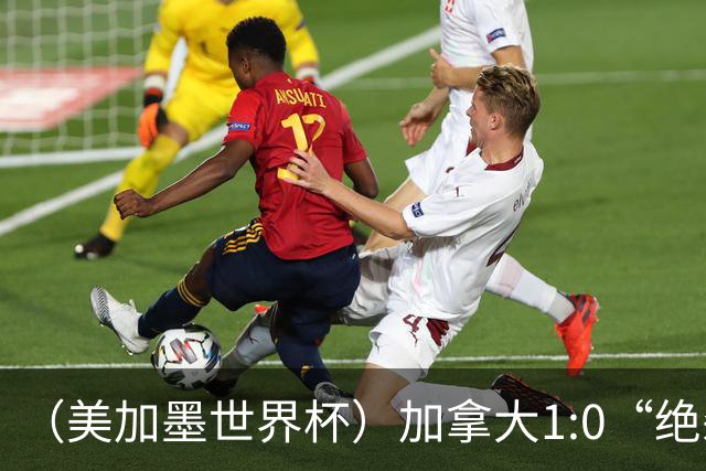 （美加墨世界杯）加拿大1:0“绝杀”南非 队史首进16强