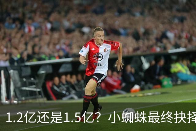 1.2亿还是1.5亿？小蜘蛛最终抉择迫近