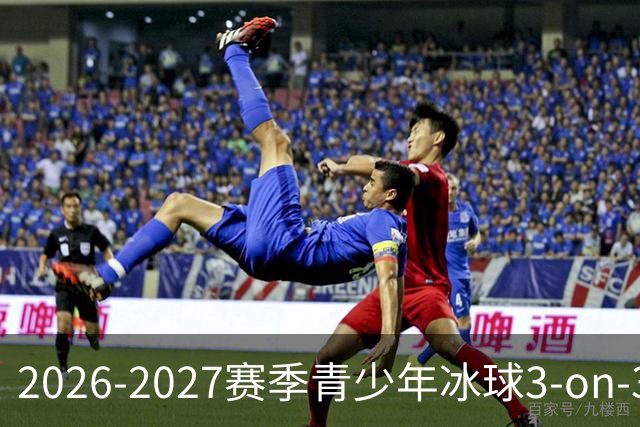 2026-2027赛季青少年冰球3-on-3哈尔滨地区赛事圆满结束