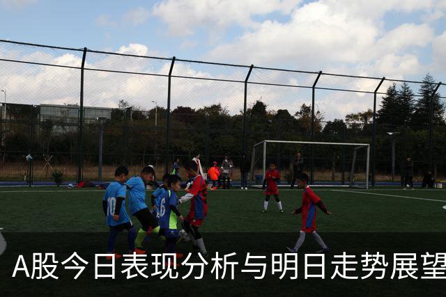 A股今日表现分析与明日走势展望