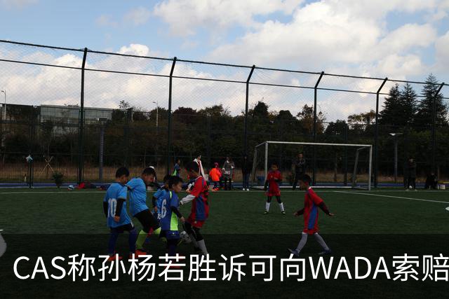 CAS称孙杨若胜诉可向WADA索赔费与开支