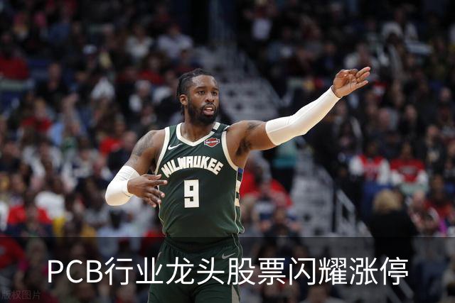 PCB行业龙头股票闪耀涨停