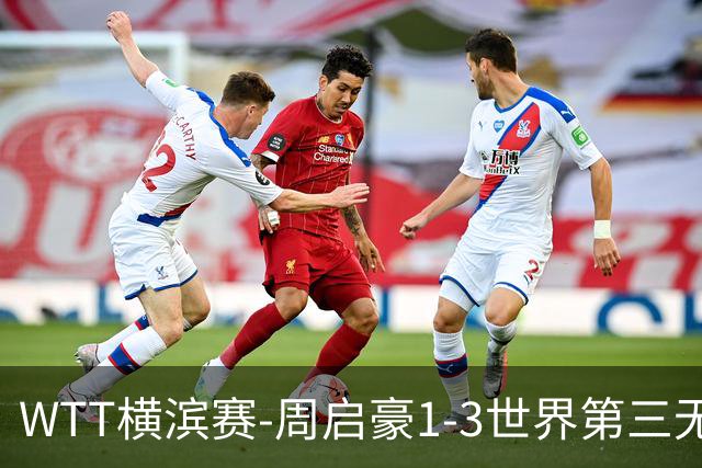 WTT横滨赛-周启豪1-3世界第三无缘16强 温瑞博1-3止步首轮